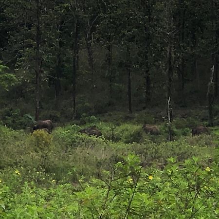Lotus Jewel Forest Camping สุลต่านบาเทรี ภายนอก รูปภาพ