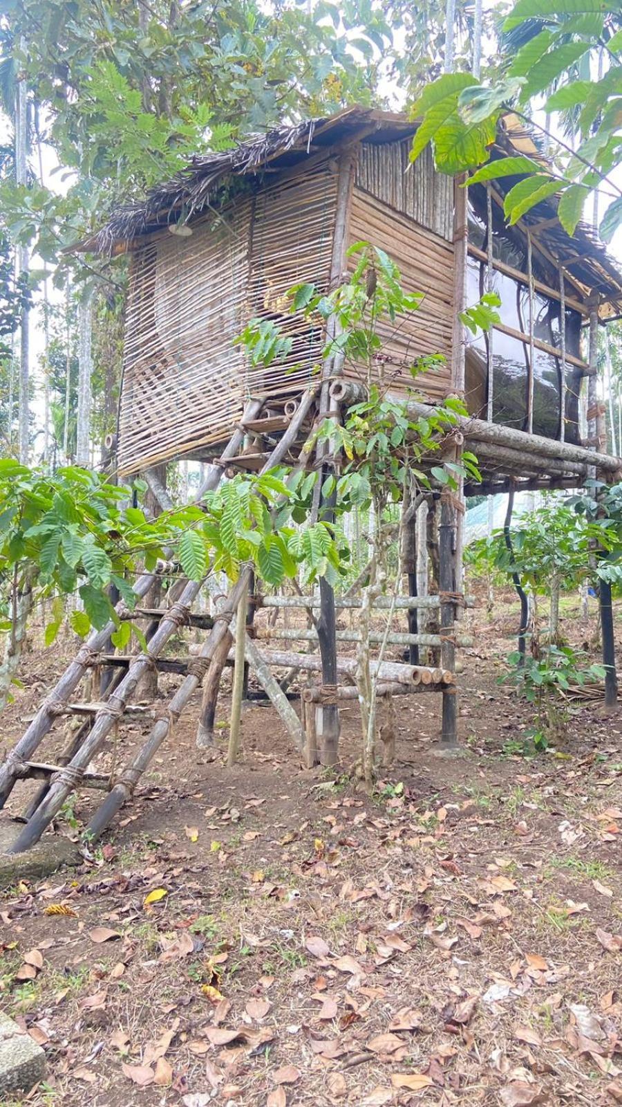 Lotus Jewel Forest Camping สุลต่านบาเทรี ภายนอก รูปภาพ