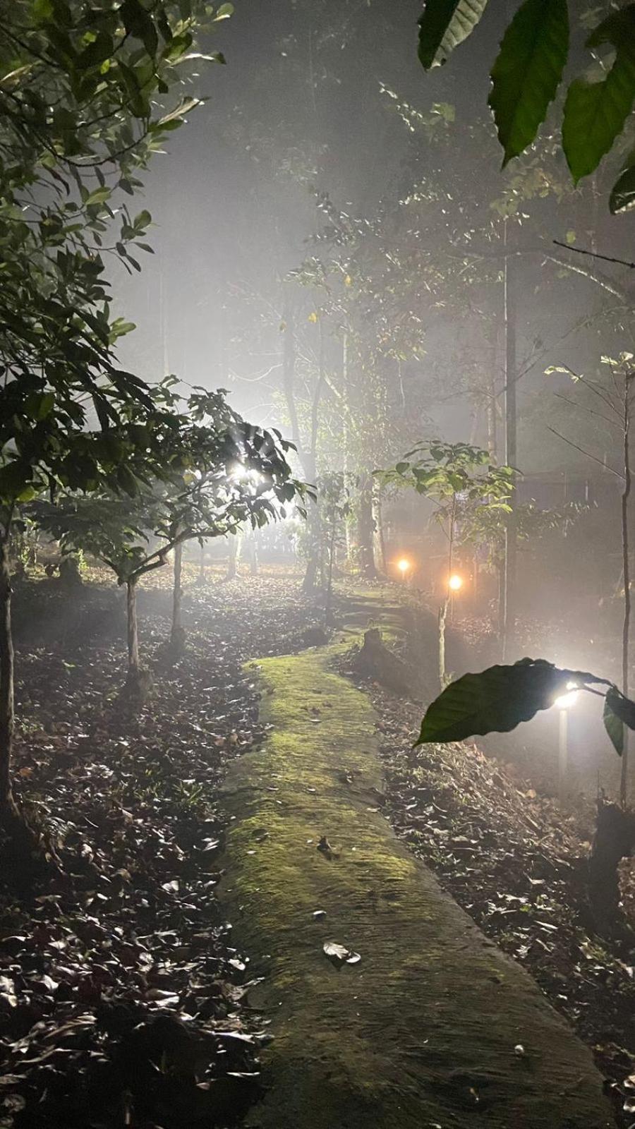 Lotus Jewel Forest Camping สุลต่านบาเทรี ภายนอก รูปภาพ