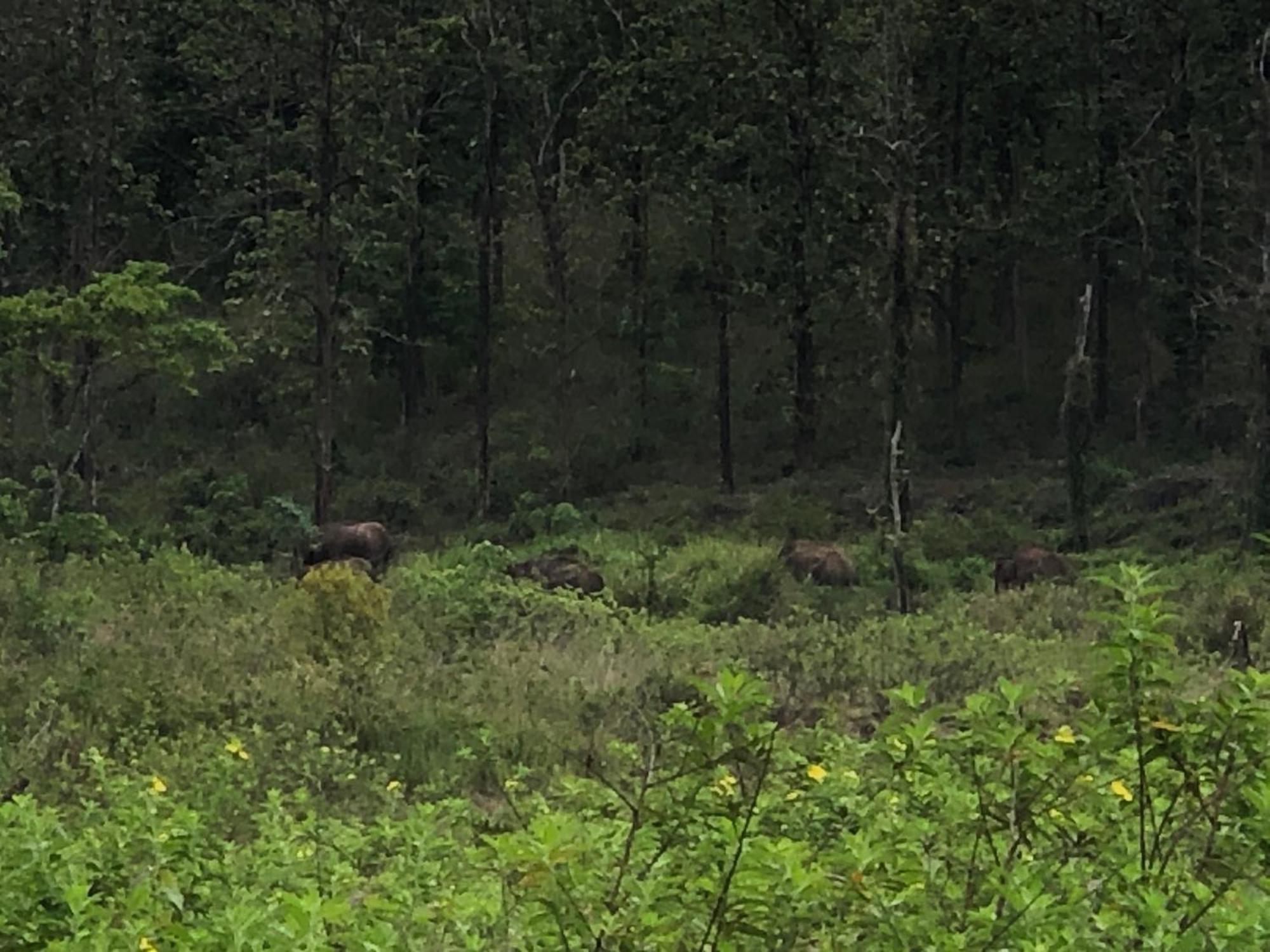 Lotus Jewel Forest Camping สุลต่านบาเทรี ภายนอก รูปภาพ